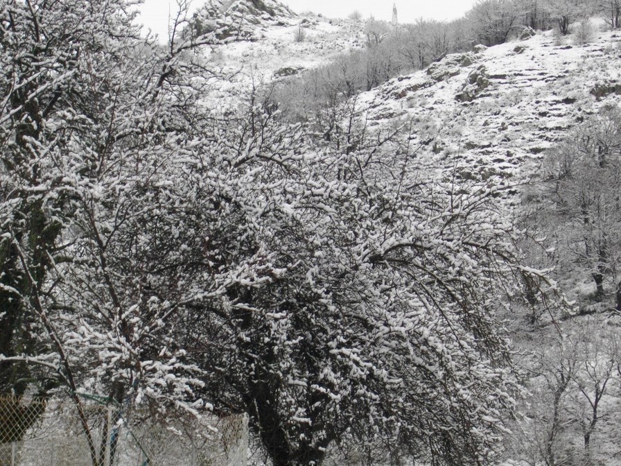 montpezat 003 (Copier).JPG