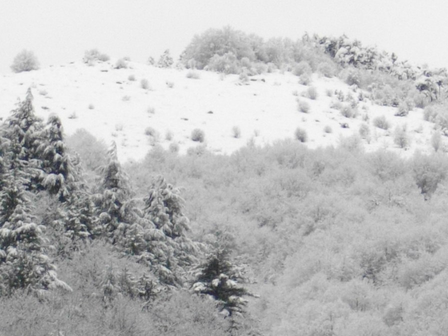 montpezat 005 (Copier).JPG