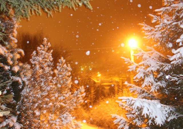 IMG_0591 (640x452).jpg