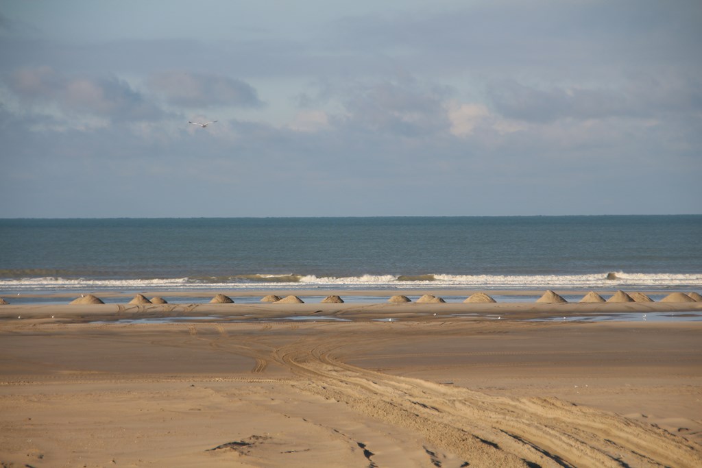 BaiedeSomme 067 (Copier).JPG