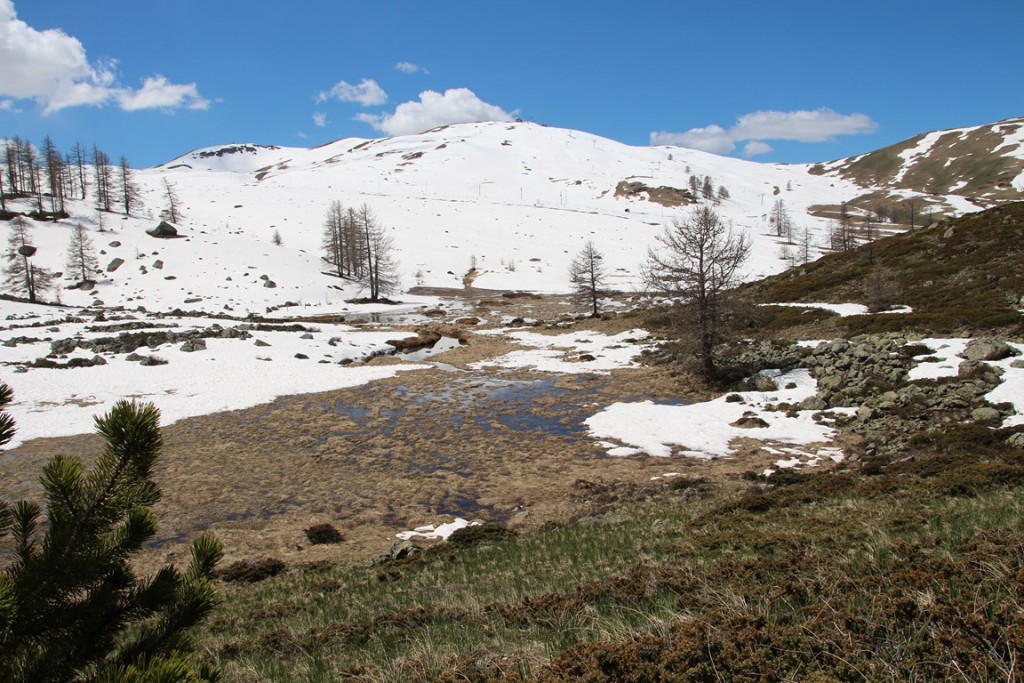 La clarée0514 447 (Copier).JPG