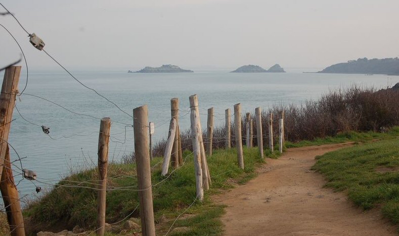 Image01.JPG