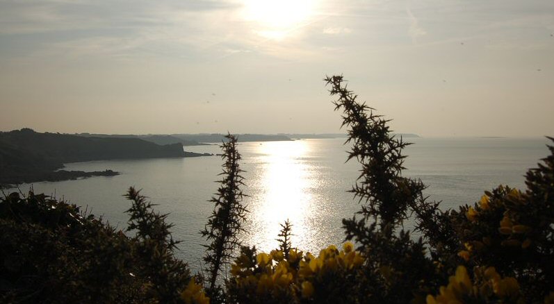 Image02.JPG