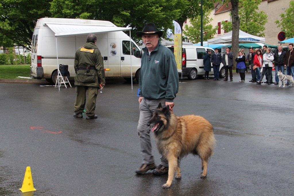 sculptures 036 (Copier).JPG