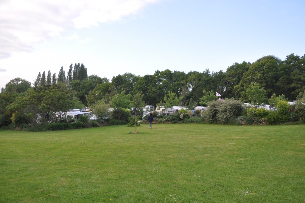 DSC_7240.JPG