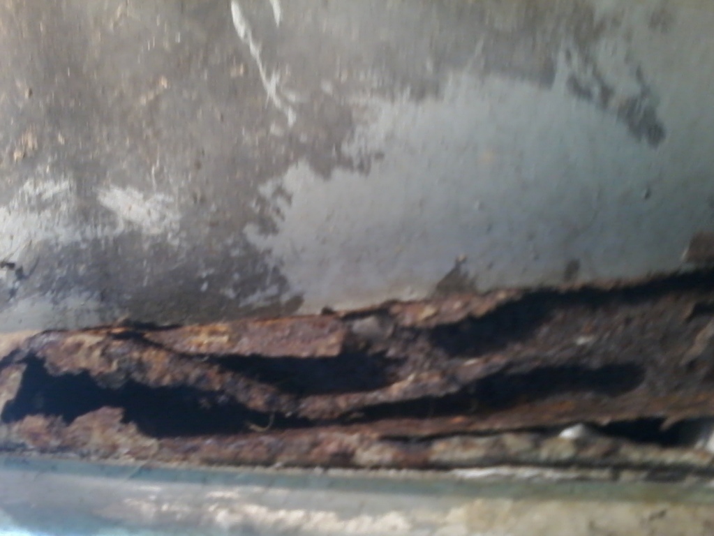 20150511_104000 (FILEminimizer).jpg