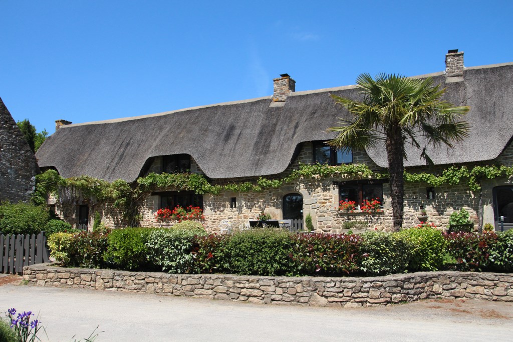 IMG_6811 (Copier).JPG