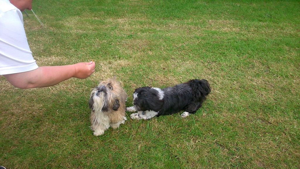 DSC_0627 (Copier).jpg