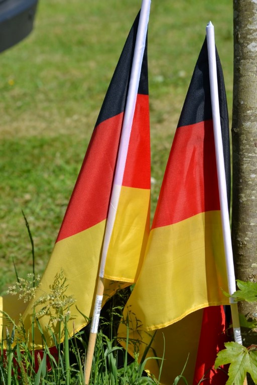 DSC_2391 (Large) (Medium).JPG