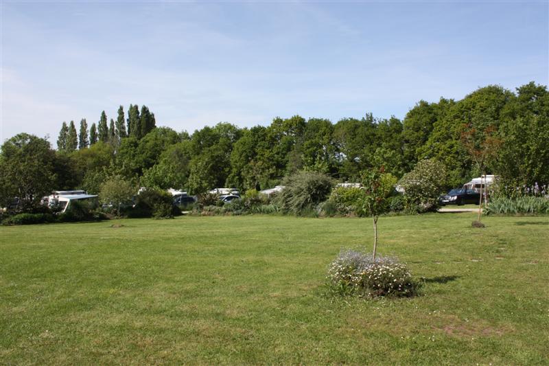 C-450D_0727 (Medium).JPG