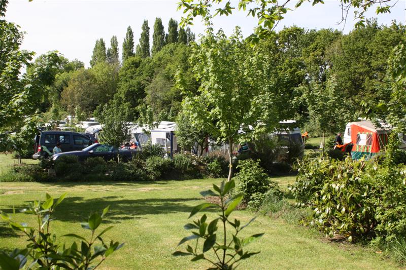 C-450D_0729 (Medium).JPG