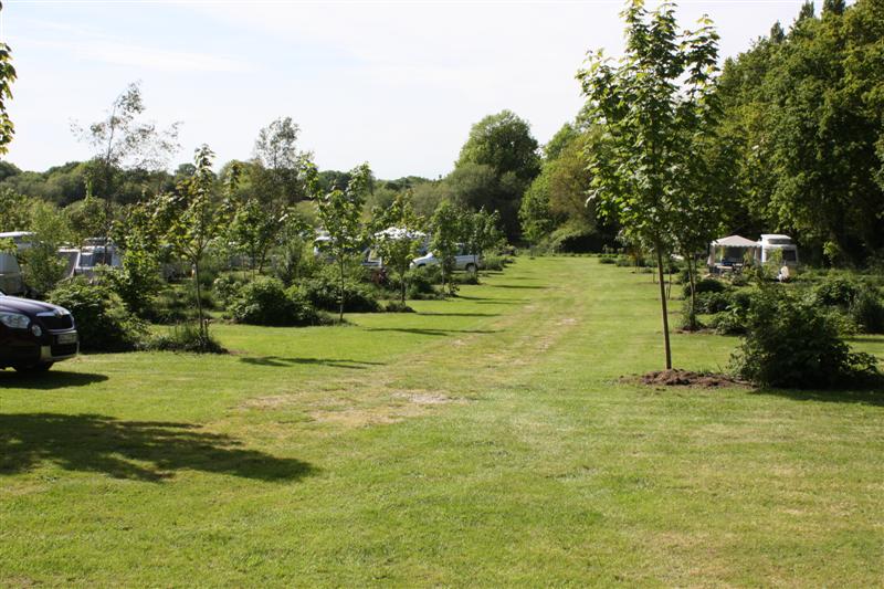 C-450D_0732 (Medium).JPG