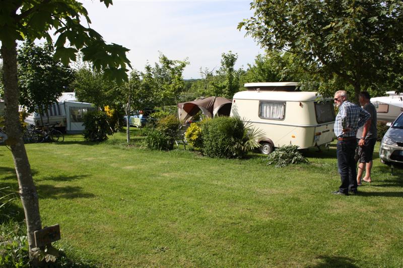 C-450D_0739 (Medium).JPG