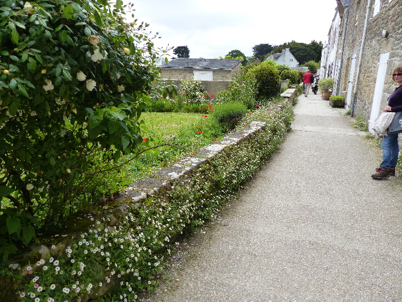 P1040582(1).JPG