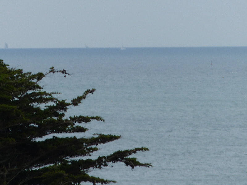 P1040559(1).JPG