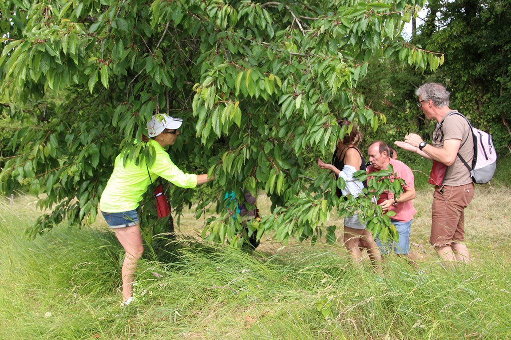 baladegourmande14 012 (Copier).JPG