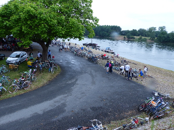 P1050570(1).JPG