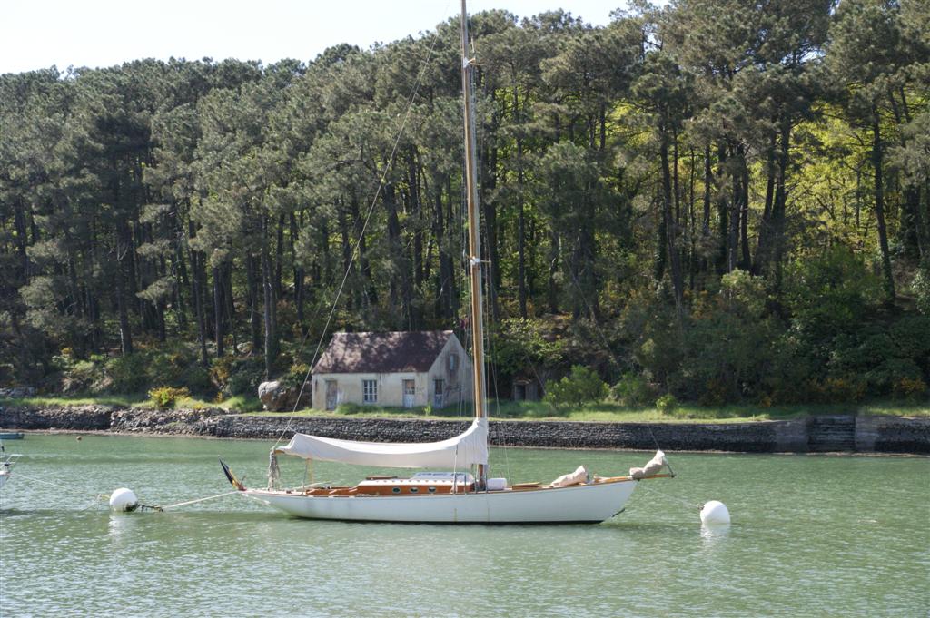 DSC03857%20(Large)[1].JPG
