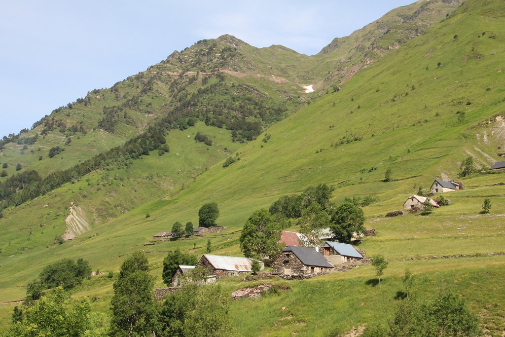 Deth Potz 180 (Copier).JPG