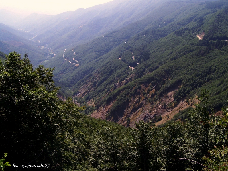 paysage et route de montagne