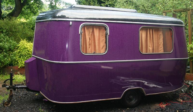 Purple (Medium).jpg