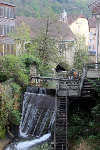 toujours arbois