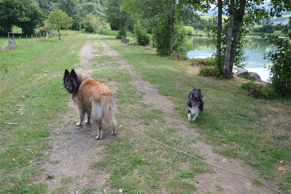 Cheylade lac des cascades 040 (2) (Large).jpg
