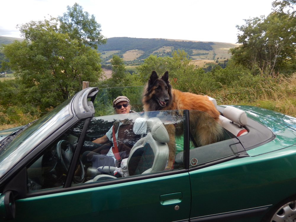 Des touristus vulgarus