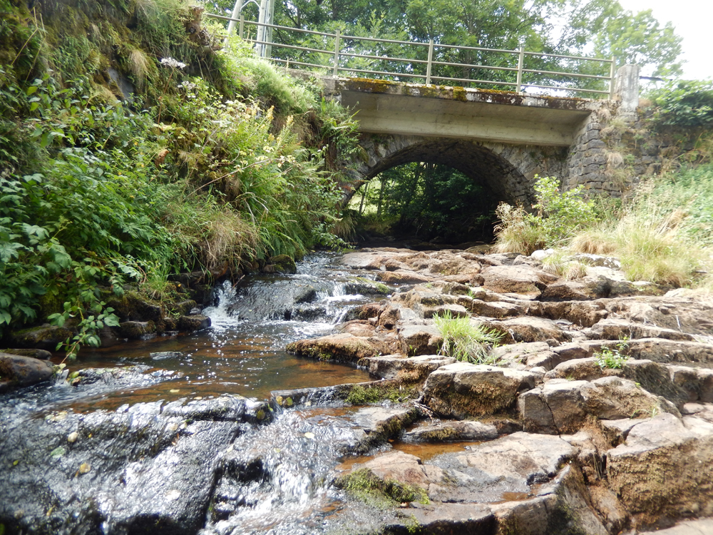 Un ruisseau à Cheylade