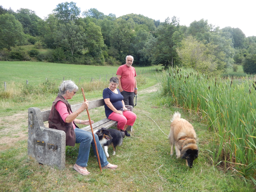 La bande à Moonarise