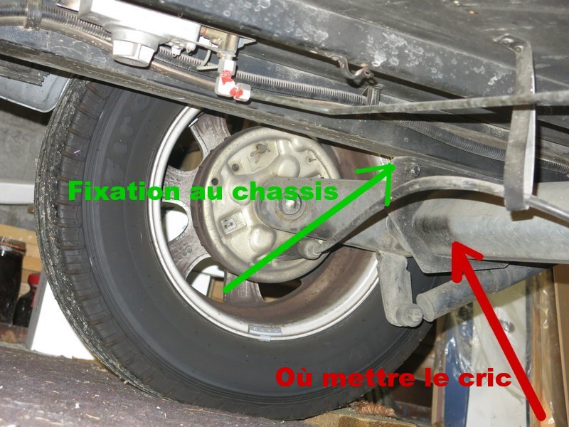 Support cric3.jpg