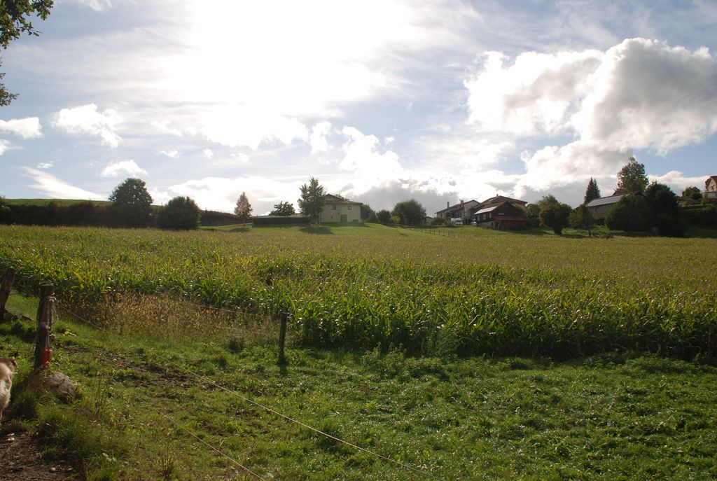 Grandiose, merci à nos hôtes pour ces bons moments passés.