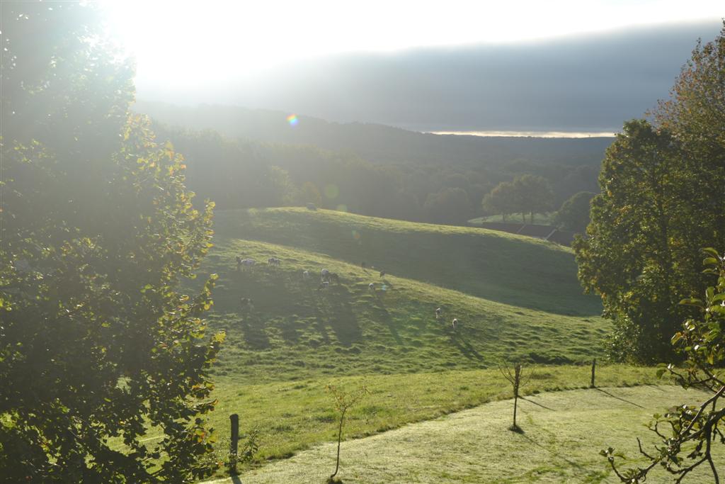 la Minerve 003 (Large).jpg