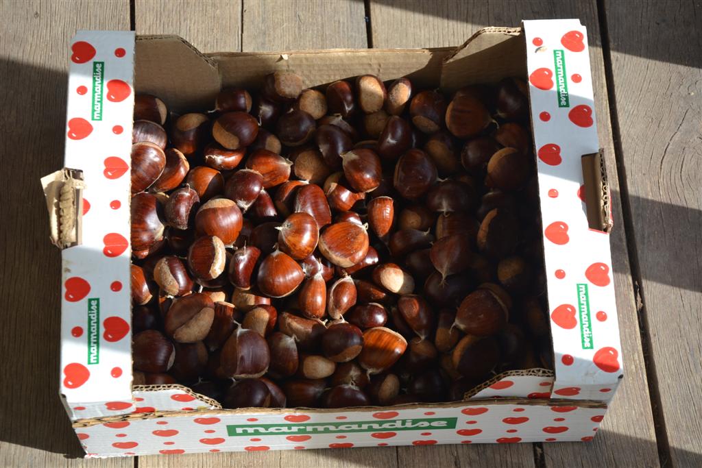 la Minerve 026 (Large).jpg