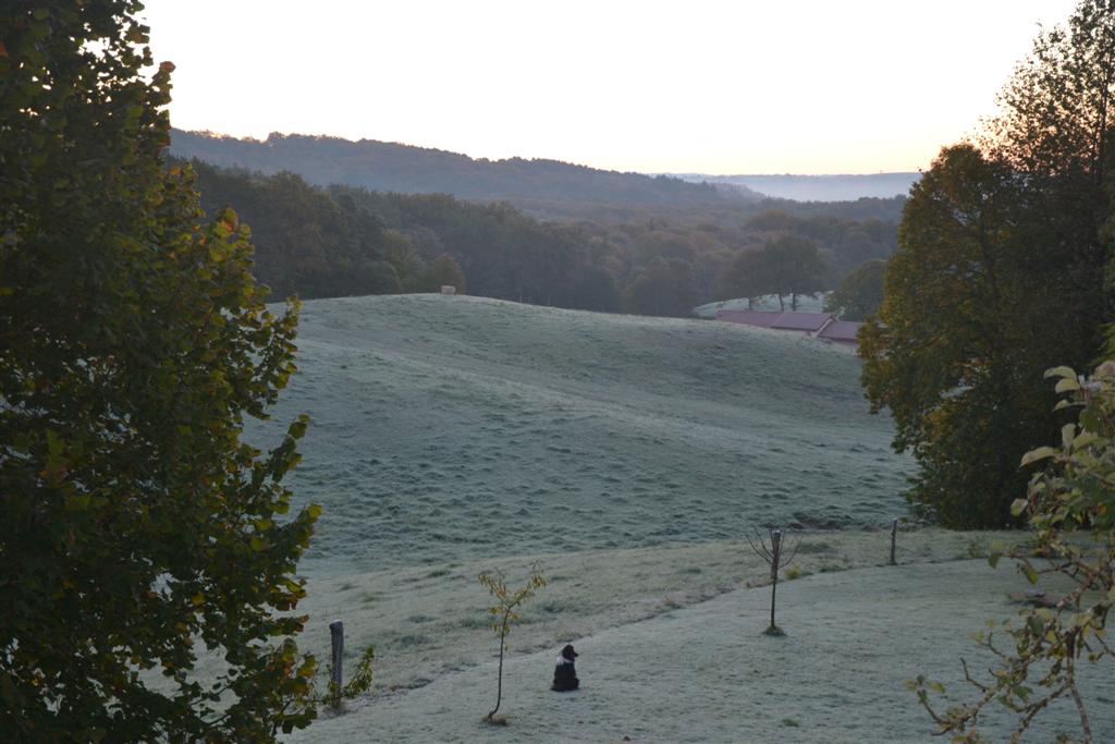 la Minerve 030 (Large).jpg