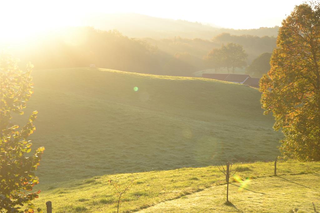 la Minerve 038 (Large).jpg