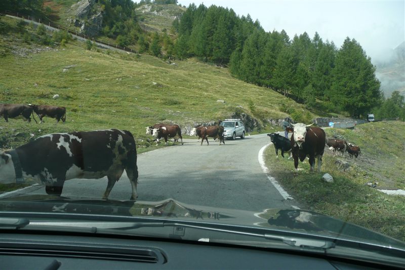 Au retour, en descendant le col du Petit Saint Bernard......