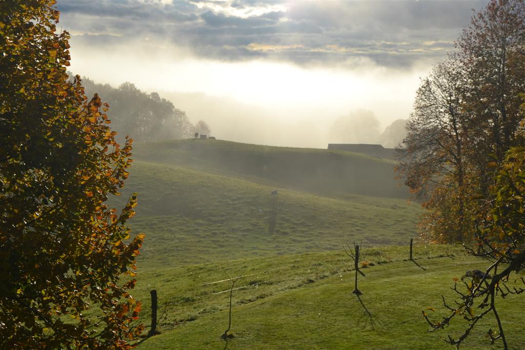 Matin des Magiciens 2 (1).jpg