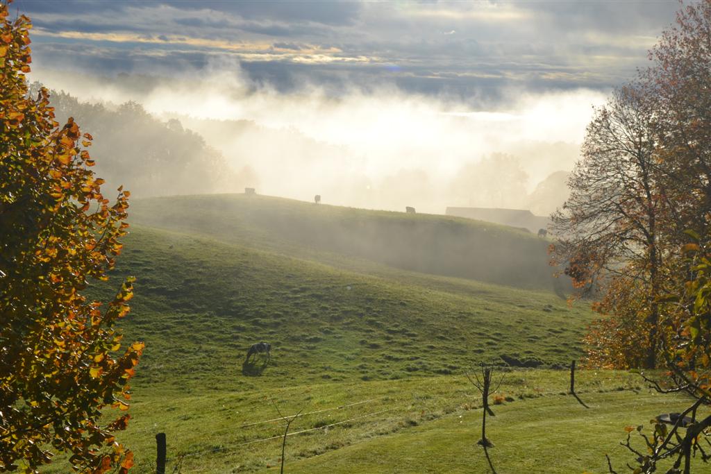 Matin des Magiciens 3 (2).jpg