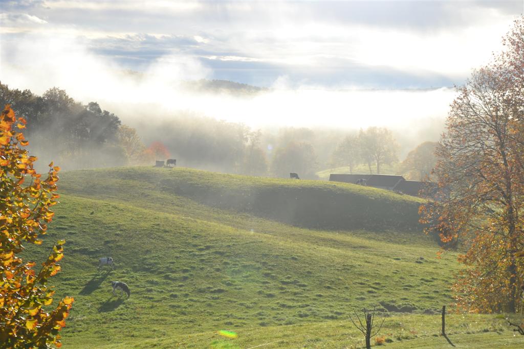 Matin des Magiciens 4 (Large).jpg