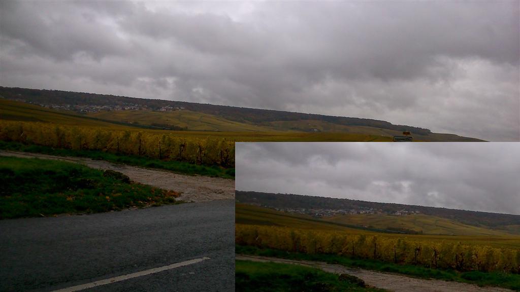 DSC_0923 (Large).jpg