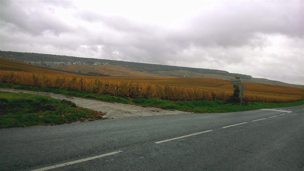 Alain modif jpg (1) (Large).JPG