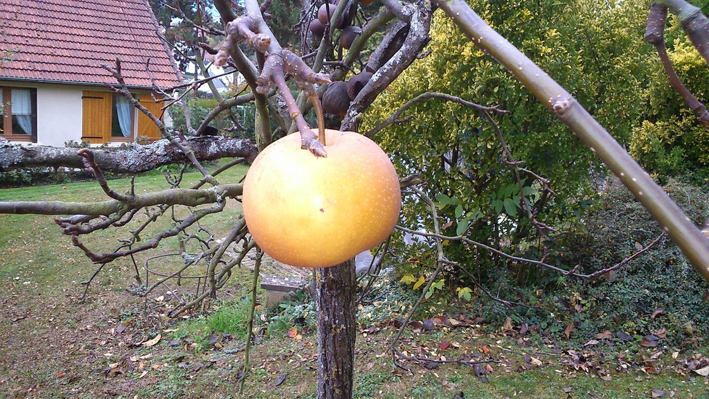 DSC_0938 (Copier).jpg