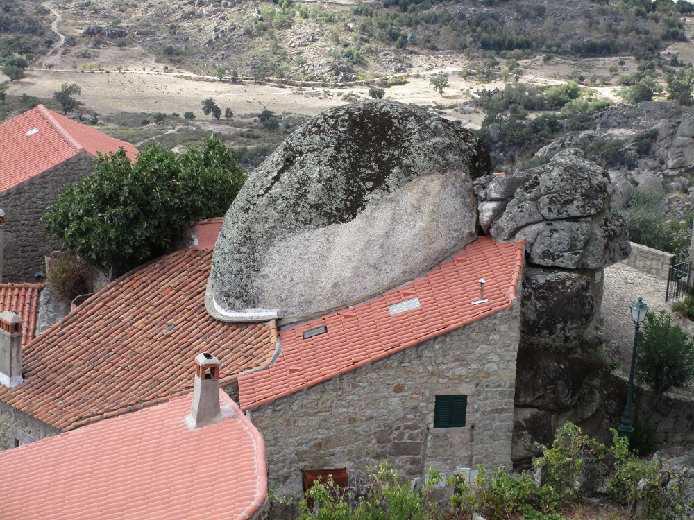 mosanto