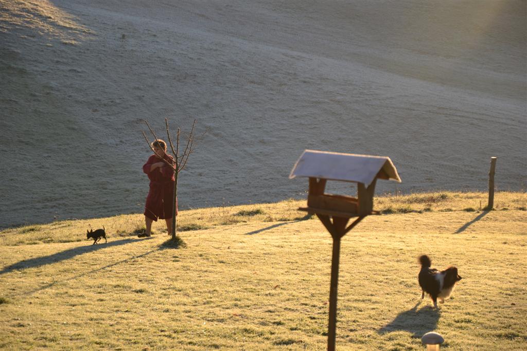 La Minerve  010 (Large).jpg