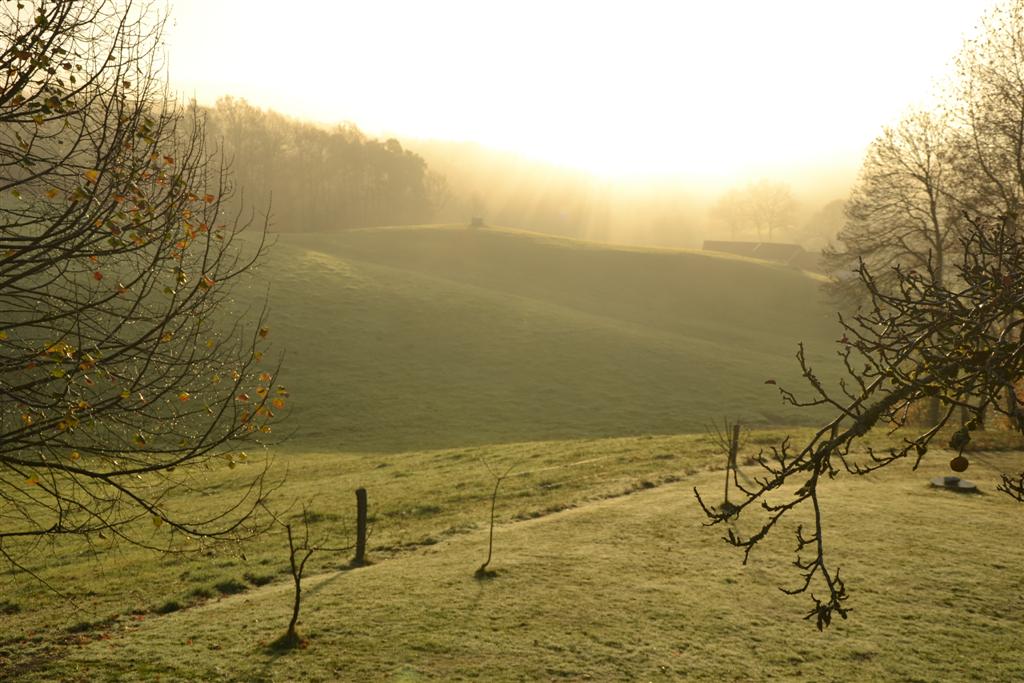 La Minerve (Large).jpg