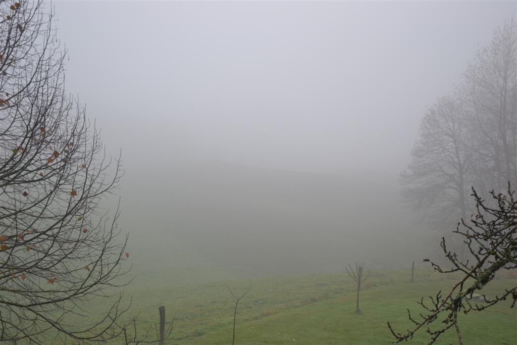 La Minerve pluie et brouillard (Large).jpg