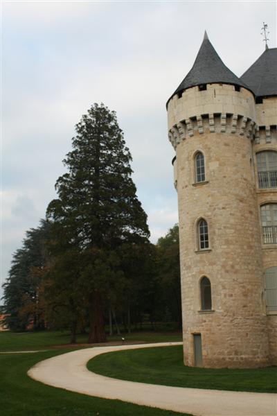 IMG_9135 (Medium).JPG