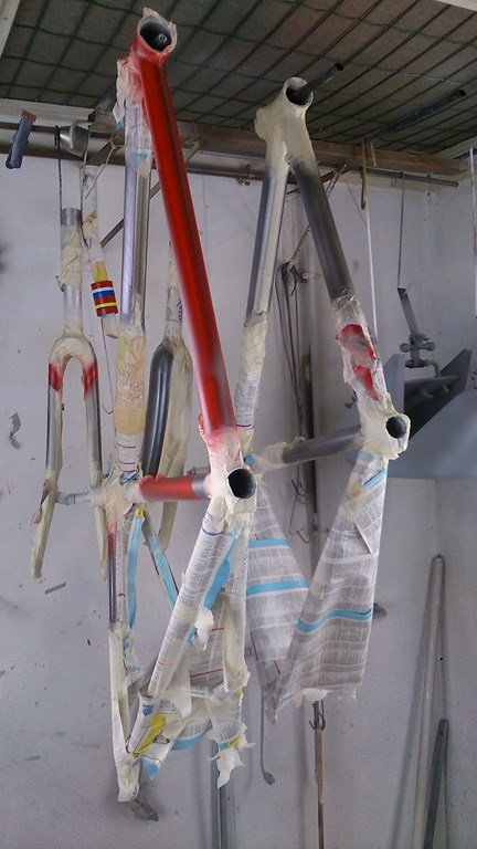 DSC_1516 (Copier).JPG