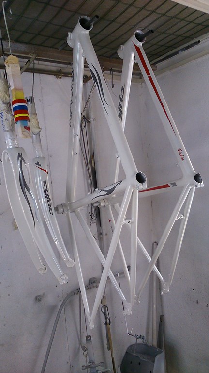 DSC_1520 (1) (Copier).JPG